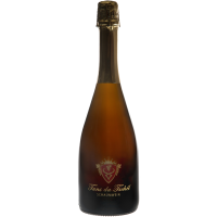 Schaumein - Tuns da Tschel